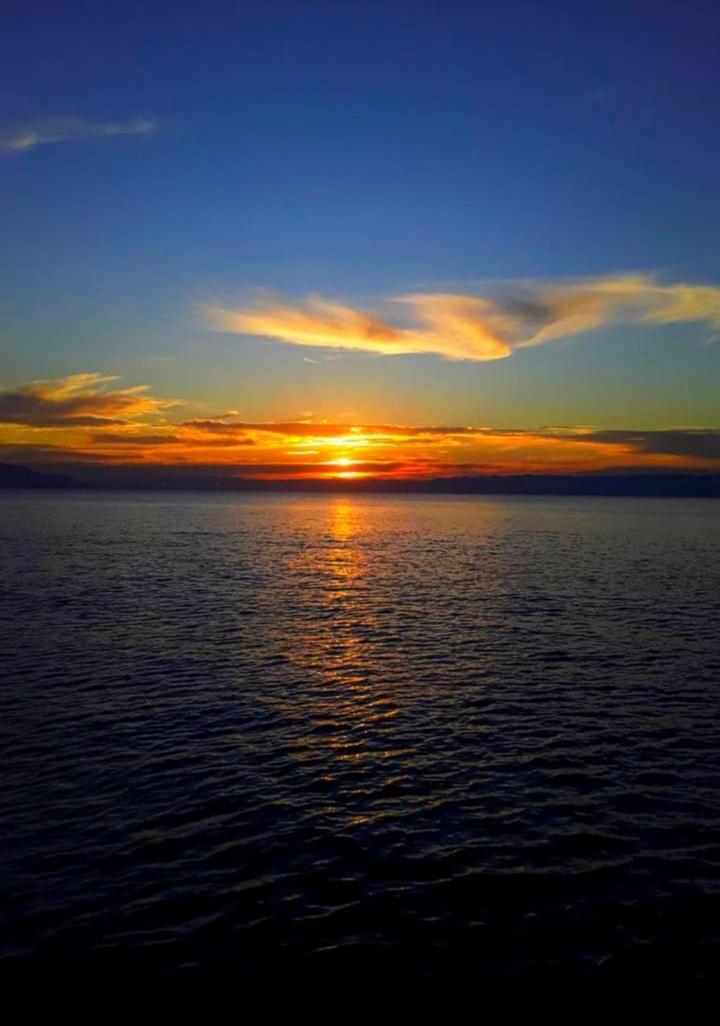 Chales Mata Atlantica De Ubatuba Esterno foto